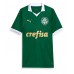 Palmeiras Estevao Willian #41 Replica Home Shirt 2024-25 Short Sleeve